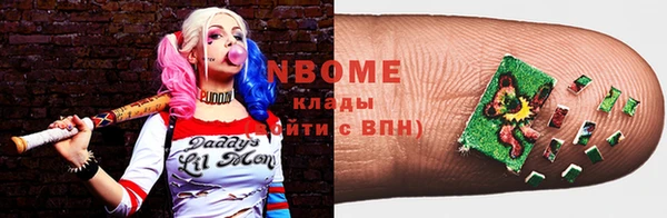 дживик Пересвет