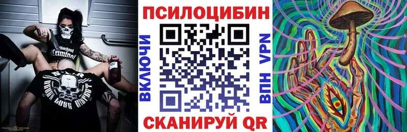 Псилоцибиновые грибы Psilocybe  Ликино-Дулёво 